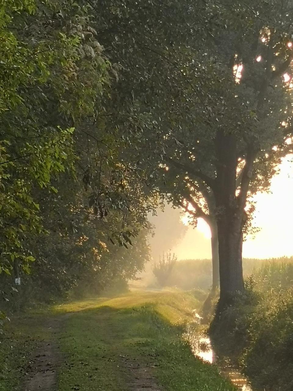 Agriturismo Tenuta "Il Cigno" Villanterio 외부 사진