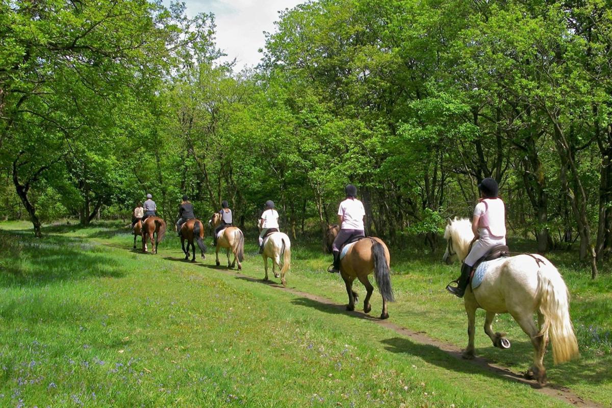 Agriturismo Tenuta "Il Cigno" Villanterio 외부 사진