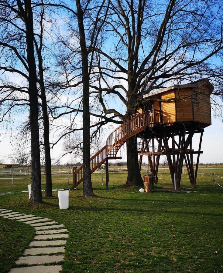 Agriturismo Tenuta "Il Cigno" Villanterio 외부 사진